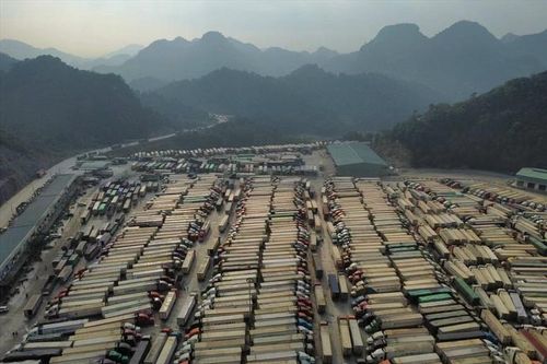 Từ ngày 17/1, cửa khẩu Lạng Sơn dừng tiếp nhận phương tiện chở hoa quả