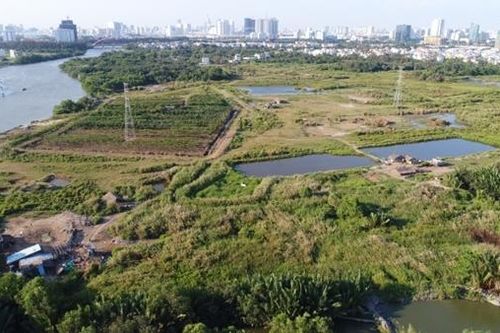 Cần làm rõ liên quan Công ty Cổ phần Quốc Cường Gia Lai với Tất Thành Cang