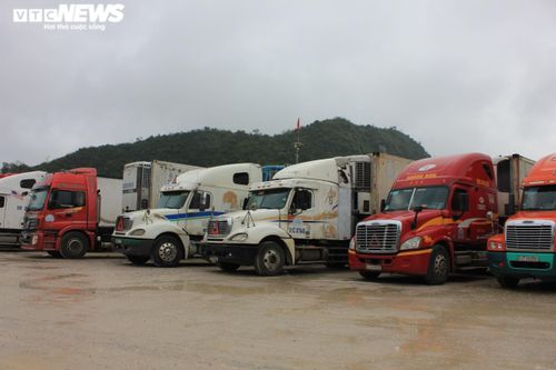 Lạng Sơn tạm dừng tiếp nhận xe chở hoa quả tươi lên cửa khẩu đến Tết Nguyên đán