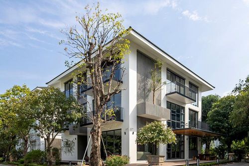 Biệt thự hiện đại 3 tầng đẹp ngỡ ngàng với ý tưởng thiết kế từ bụi tre