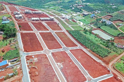 Lâm Đồng yêu cầu tạm dừng 2 dự án cạo trọc đồi làm biệt thự