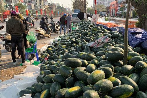 28 triệu tấn rau củ, trái cây: Buôn tiểu ngạch, hái ăn tươi bao giờ cho hết