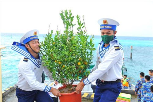 Mang mùa Xuân đến với Trường Sa