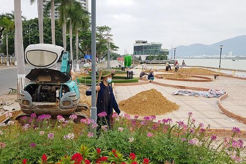 Đà Nẵng: Hơn 8,6 tỷ đồng trang trí hoa phục vụ Tết Nguyên đán