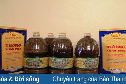 Nức tiếng tương Xuân Phả