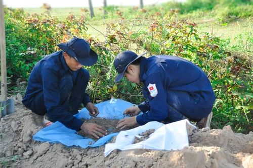 Đẩy nhanh tiến độ tìm kiếm, quy tập và xác định hài cốt liệt sĩ còn thiếu thông tin