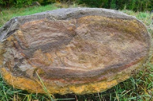 Xẻ đôi hòn đá 'biết chạy', chuyên gia sững sờ: 'Chưa từng thấy!'