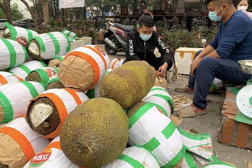 Cần giải pháp đồng bộ để thông thương nông sản xuất khẩu