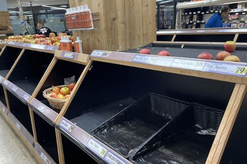 Rắc rối nối tiếp, các kệ hàng tại Mỹ lại trống trơn