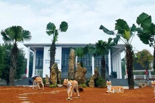 Di dời 5 tượng hổ 'ốm đói', dị dạng ở thị xã Phú Thọ