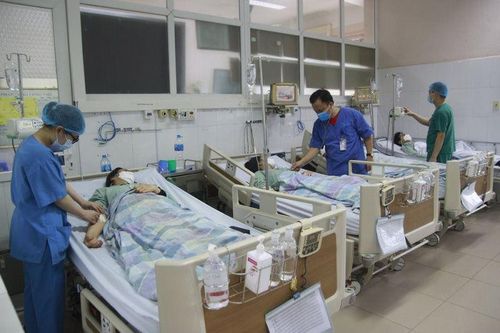 Ngộ độc củ nần, 4 người trong gia đình nguy kịch