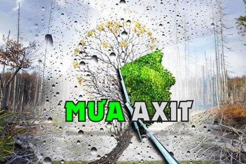 Vì sao mưa axit được gọi là Thần Chết?