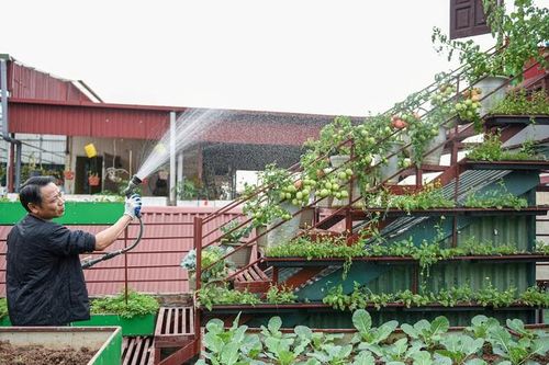 Mãn nhãn vườn rau 200 triệu trên sân thượng của ông bố Hà Nội
