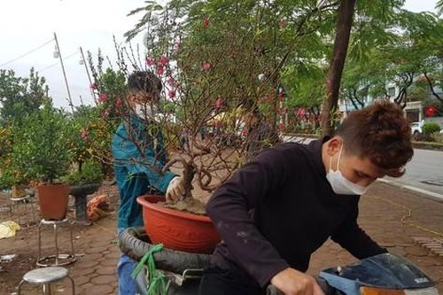 Rằm tháng Chạp: Đào, quất trong mưa rét ngóng khách mua