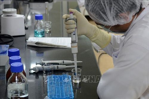 Hãng Gennova (Ấn Độ) nghiên cứu bào chế vaccine đặc hiệu với Omicron