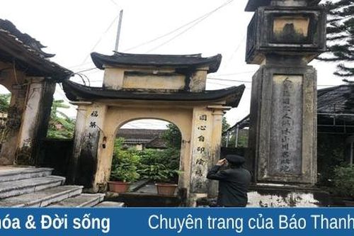 Rêu phong Chùa Tạu