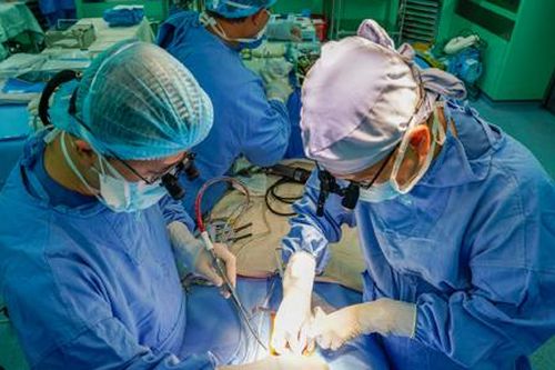 Cứu sống bé sơ sinh mắc bệnh tim bẩm sinh phức tạp