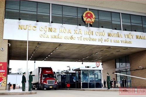 Lào Cai kích hoạt 'vùng xanh không Covid-19' để bảo đảm xuất khẩu hàng dịp Tết