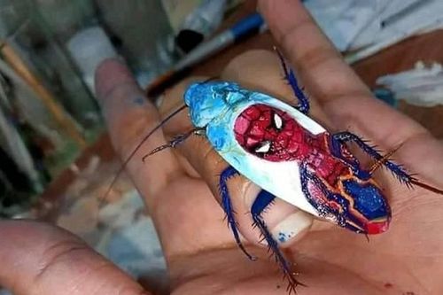Nổi da gà với bộ sưu tập tranh vẽ nghệ thuật từ... gián chết