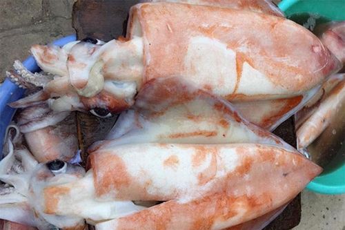 Hai loại mực khổng lồ 'cháy hàng' ở Việt Nam giá thế nào?
