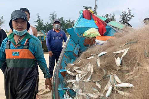 Ngư dân Quảng Bình trúng đậm 'lộc biển' vào những ngày cận Tết
