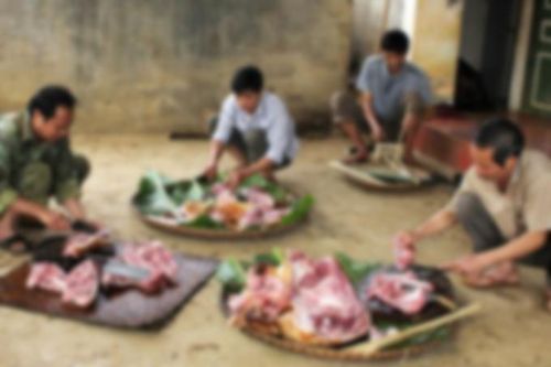 Đụng heo ngày Tết