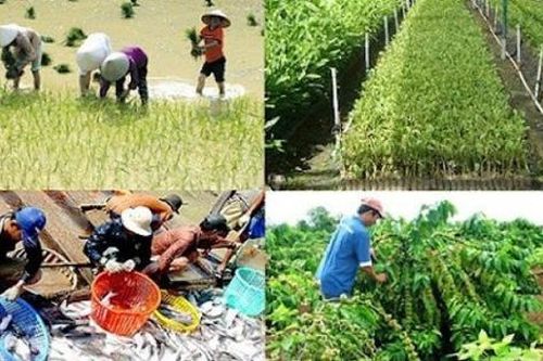 Hỗ trợ phát triển sản xuất giống phục vụ cơ cấu lại ngành nông nghiệp