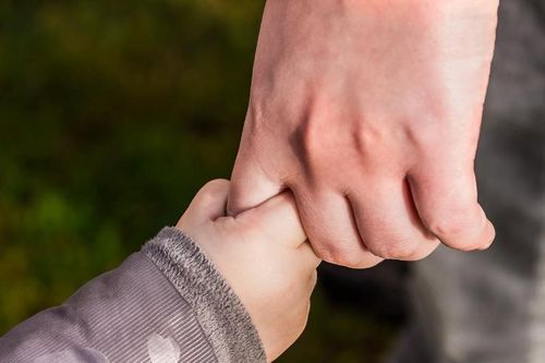 Nói dối là người Nhật, người hiến tặng tinh trùng bị kiện 65 tỷ đồng