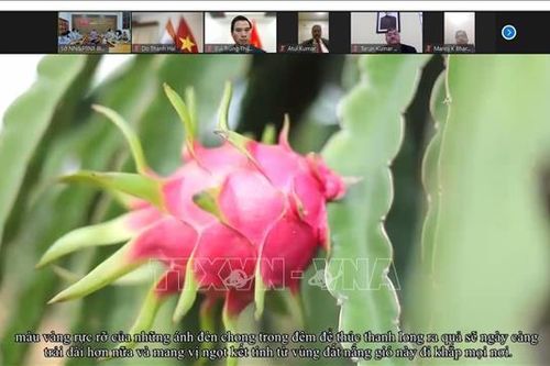 Xúc tiến xuất khẩu thanh long sang thị trường Ấn Độ