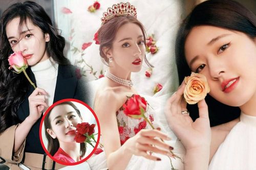 Dàn mỹ nhân Cbiz đọ sắc với hoa hồng: Nhiệt Ba đẹp hút hồn 'chặt chém' Dương Mịch và Lệ Dĩnh