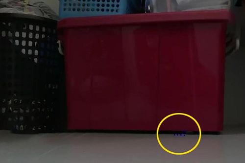 Rạng sáng thấy ánh sáng lạ dưới thùng đồ, cô gái sợ hãi rời khỏi nhà ngay khi biết đó là thứ gì