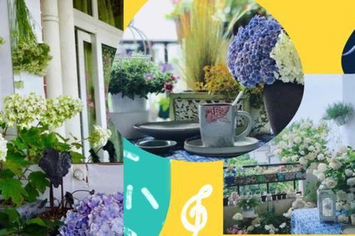 Chàng thiết kế trẻ khéo biến ban công 3m² thành khu vườn mộng mơ khiến các chị em cũng phải ghen tị
