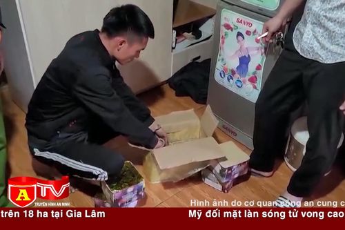 Bị tuyên phạt 6 tháng tù giam vì tàng trữ hơn 13kg pháo