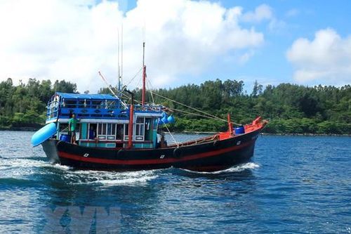 Việt Nam bác thông tin trang bị vũ khí cho thuyền cá