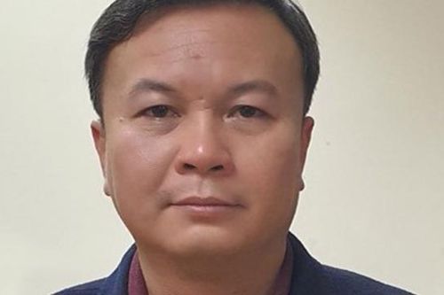 Khởi tố, bắt tạm giam Chủ tịch HĐQT Công ty Công viên cây xanh Hà Nội