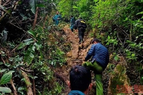 Sơn La: Huy động hơn 100 người truy bắt nghi phạm sát hại 2 người