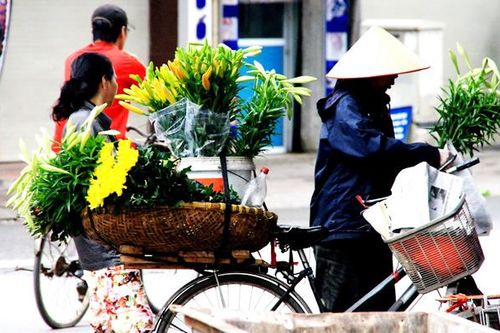 Chở hoa mang Tết về Hà Nội