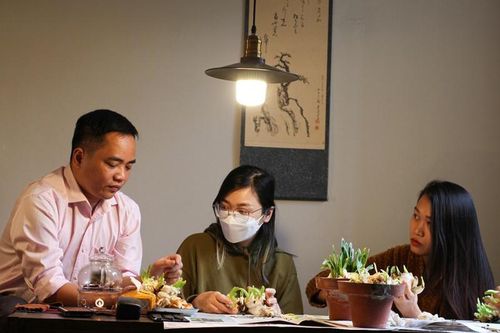 Chi tiền triệu khám phá thú chơi 'đĩa ngọc, chén vàng' dịp Tết ở Hà Nội