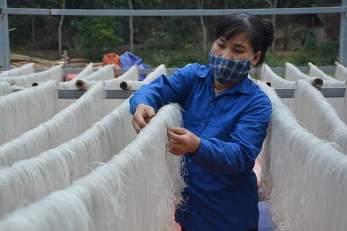 Làng nghề miến dong nổi tiếng xứ Thanh 'chạy đua' với đơn hàng Tết