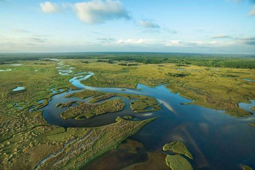 Mỹ đầu tư hơn 1 tỷ USD để khôi phục Công viên quốc gia Everglades