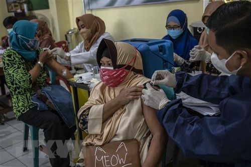 Hơn 1 triệu liều vaccine được viện trợ tại Indonesia hết hạn sử dụng