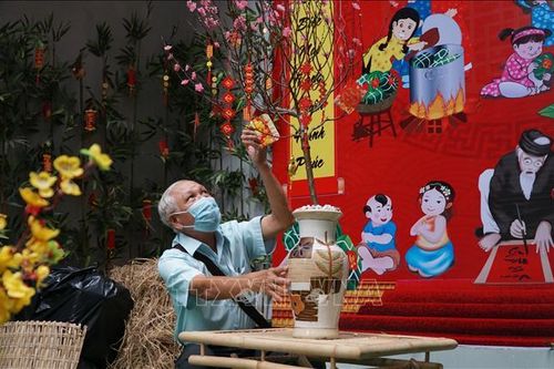 TP Hồ Chí Minh: Không khí Tết rộn ràng tại những con hẻm, khu phố