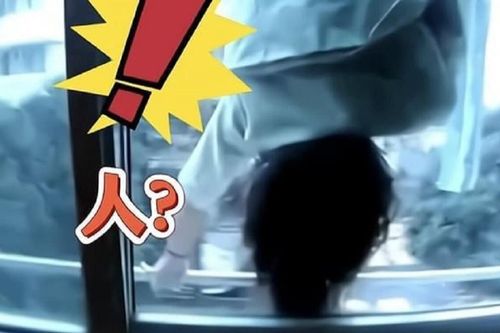 Sáng sớm nhìn qua cửa sổ tầng 3, người phụ nữ bị dọa sợ 'mất mật', báo ngay cảnh sát khi thấy cảnh này