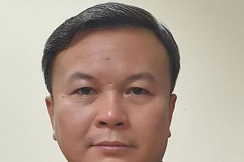 Bắt Chủ tịch Công ty Công viên cây xanh Hà Nội