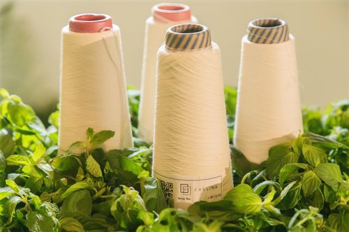 Doanh nghiệp đua sản xuất quần áo từ cà phê, vỏ sò, lá bạc hà