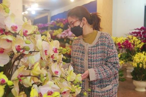 Cận Tết Nguyên đán, Lan hồ điệp hút khách