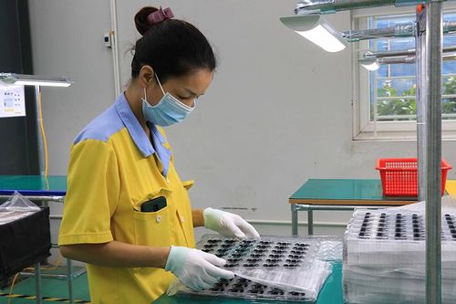 Bắc Ninh: Đôn đốc doanh nghiệp thực hiện các chế độ tiền lương, thưởng đối với người lao động