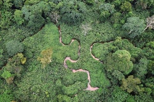 Gabon – 'Người khổng lồ xanh' của châu Phi