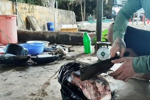 Thâm nhập thủ phủ thịt thú rừng Gia Lai