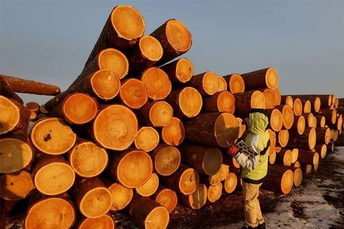 EU kiện Nga lên WTO